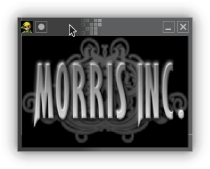 The Best of Zelda was made by Morris Inc.