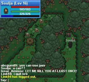 Hide and Seek in Zelonion Forest Maze